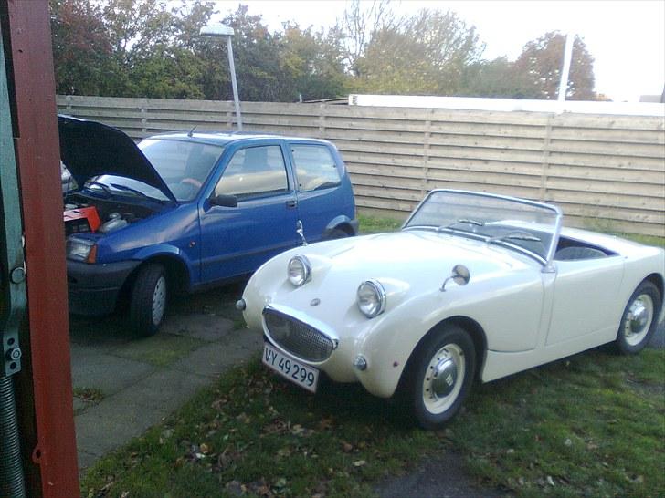 Austin healey frogeye billede 6