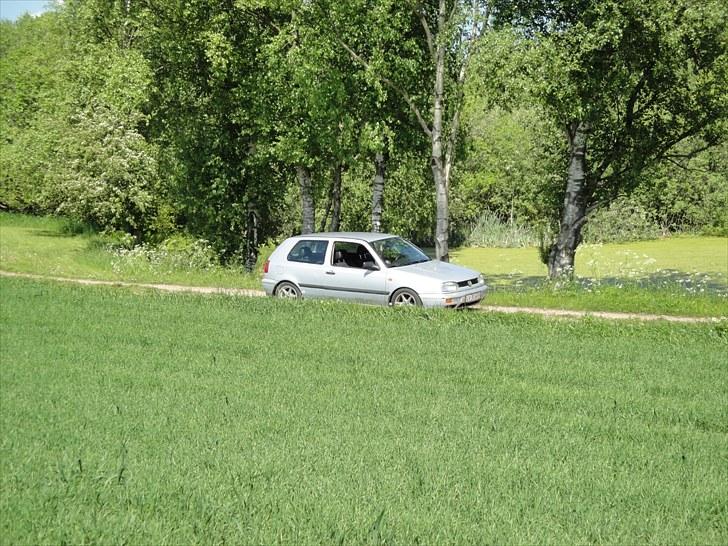 VW Golf 3 1,8 8v cl  billede 14