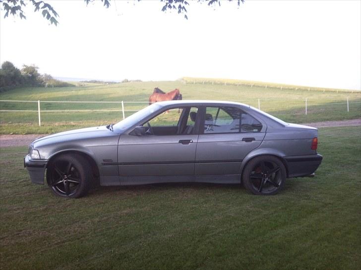 BMW 316i Solgt billede 11