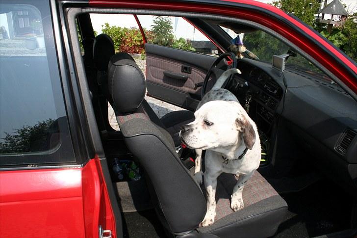 Toyota Corolla 1.3 E9 Xli solgt billede 10