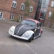 VW Bobbel