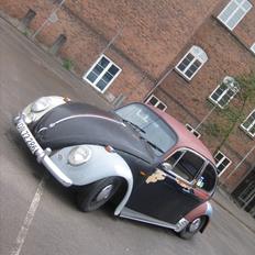 VW Bobbel