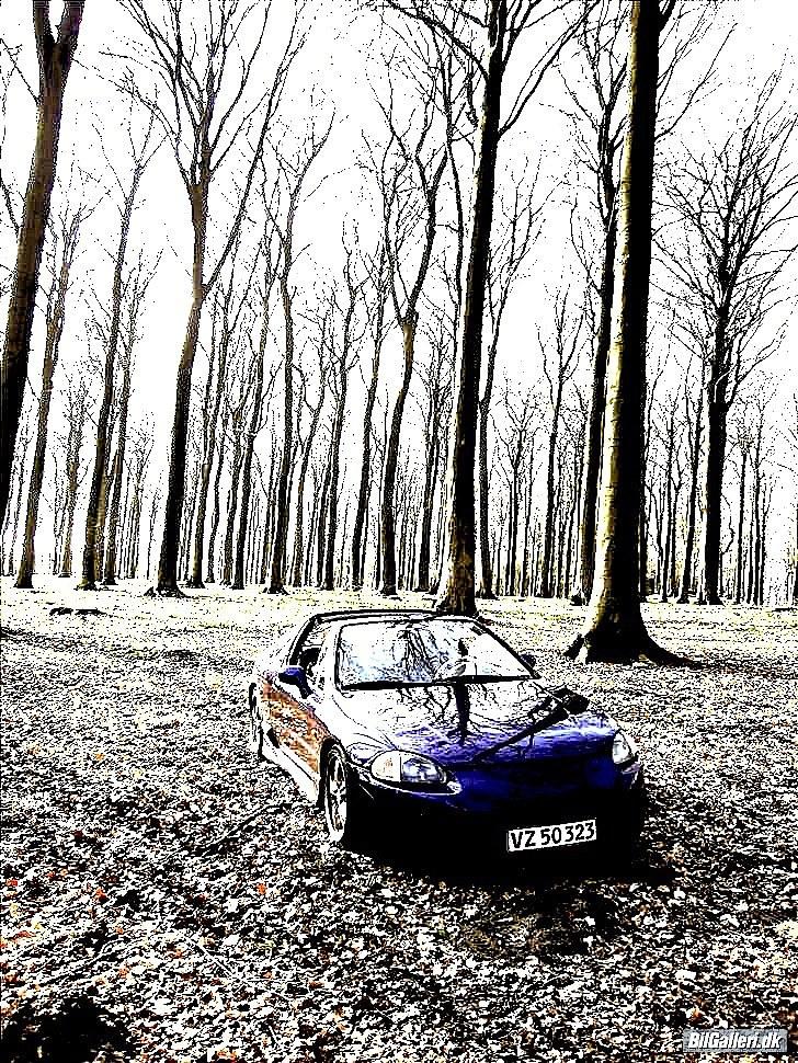 Honda CrX Del Sol vtec.Tidl. bil billede 19