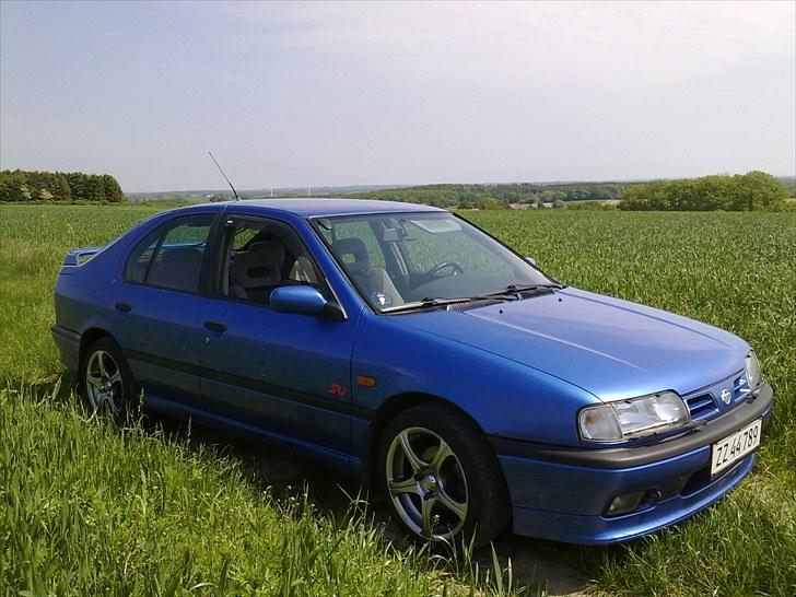 Nissan Primera 1.6 SRI billede 1