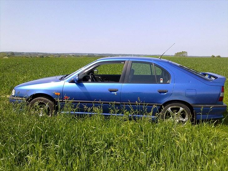 Nissan Primera 1.6 SRI billede 7