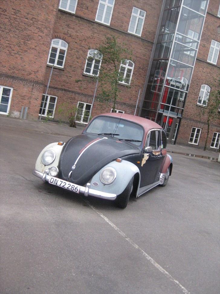 VW Bobbel billede 2