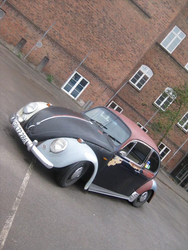 VW Bobbel billede 3