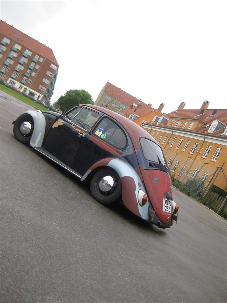 VW Bobbel billede 4