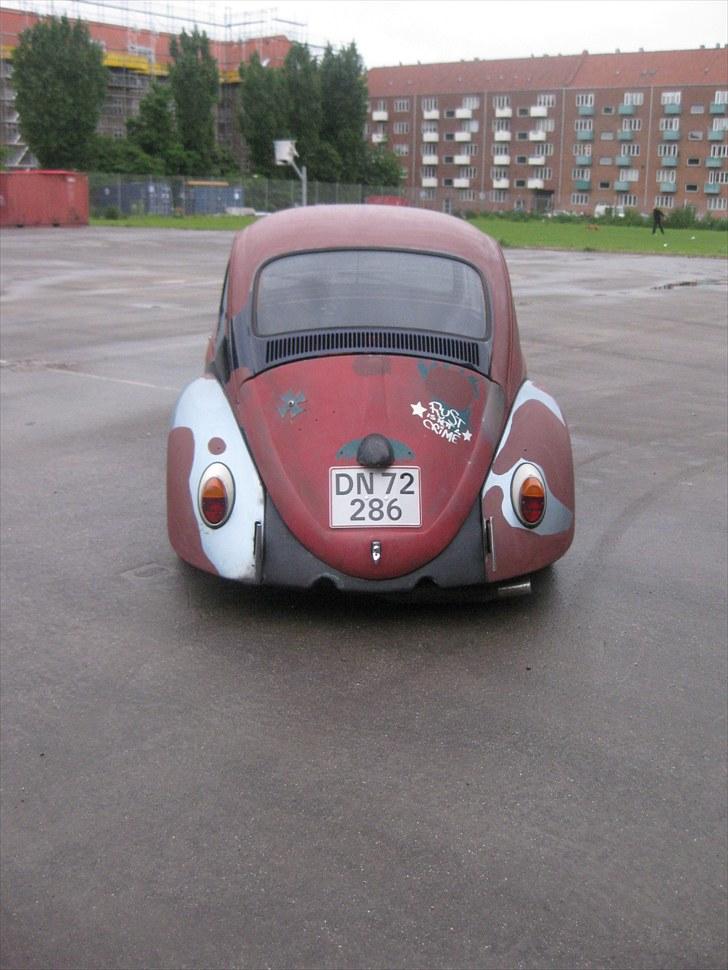 VW Bobbel billede 5