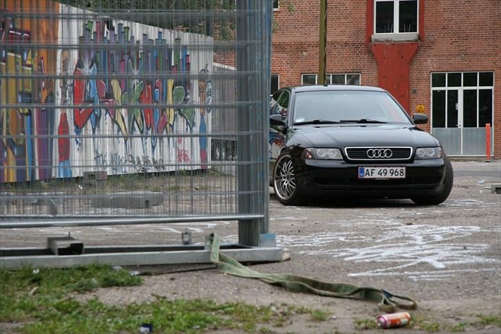 Audi A4 - Solgt billede 4