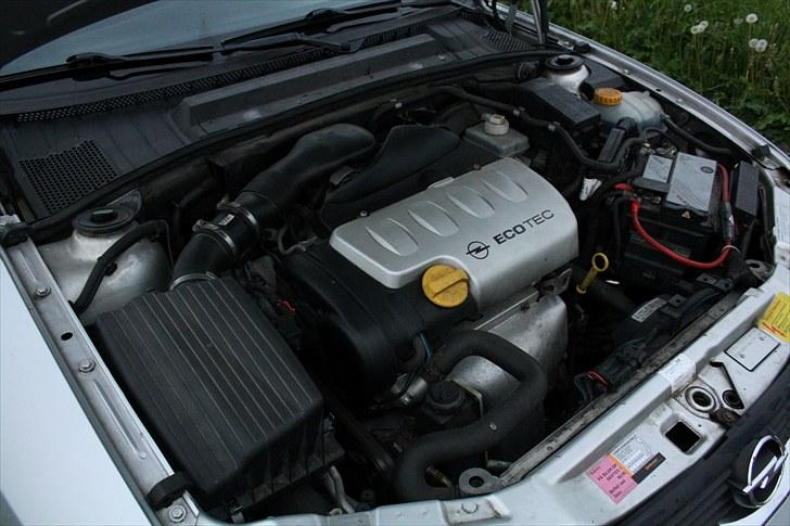 Opel Vectra B 1.8 16v billede 7