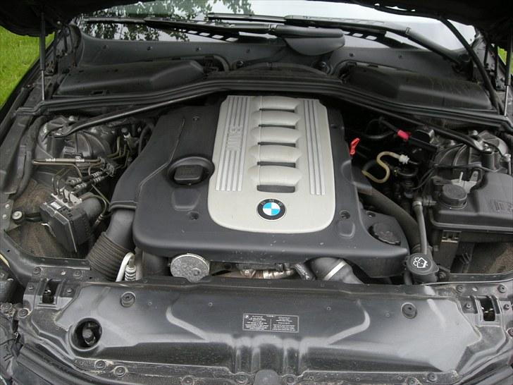 BMW 525D E61  billede 12