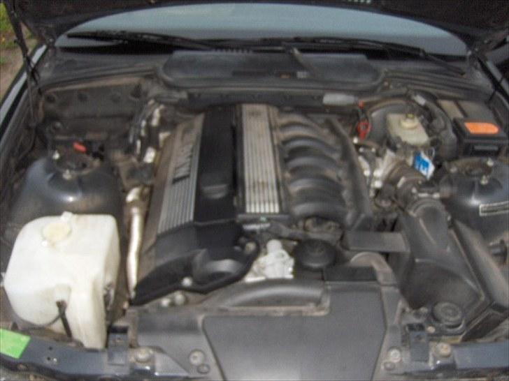 BMW E36 Coupe SOLGT billede 6