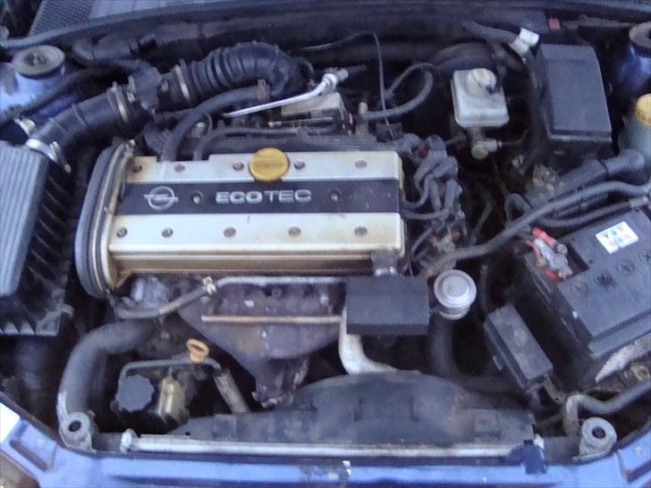 Opel Vectra B billede 11