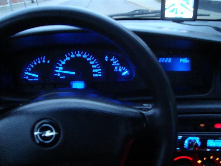 Opel Vectra B - Let sløret, men det viser nu fint det blå lys i instrumenterne. billede 7