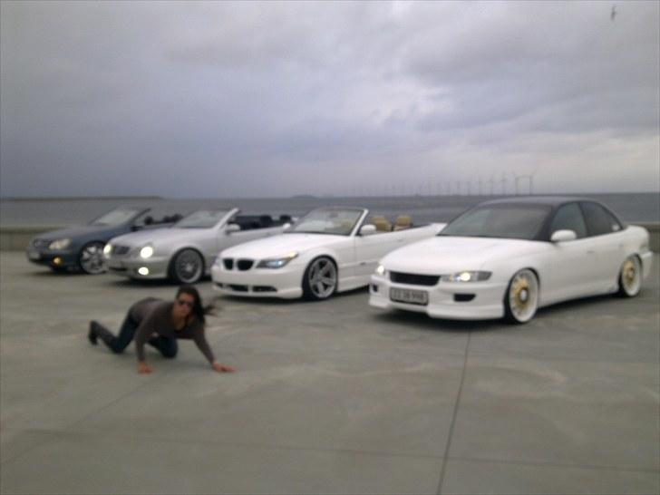 Opel Omega " KLEEMANN" - Amagerstrandpark billede 10