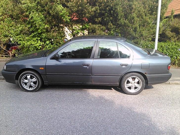 Nissan Primera Byttet billede 2