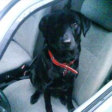 Ford Escort mk3 solgt