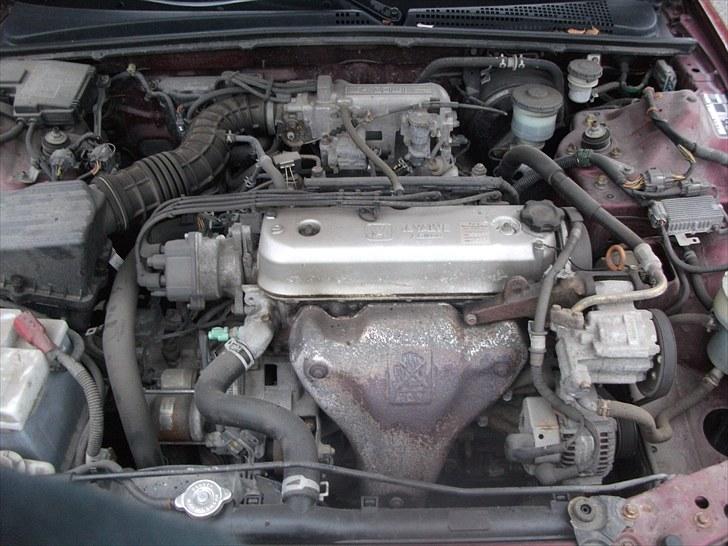 Honda Accord billede 4