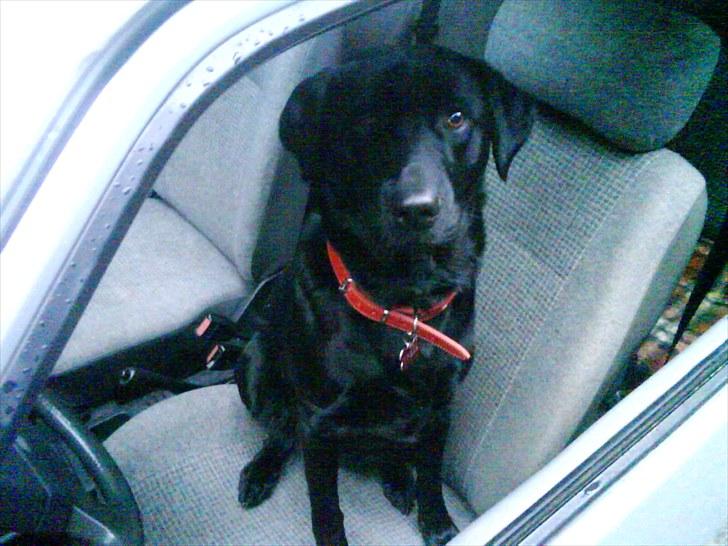 Ford Escort mk3 solgt billede 2