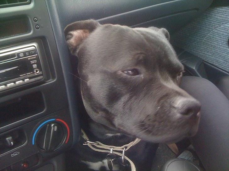 Toyota Carina E 2.0 billede 12