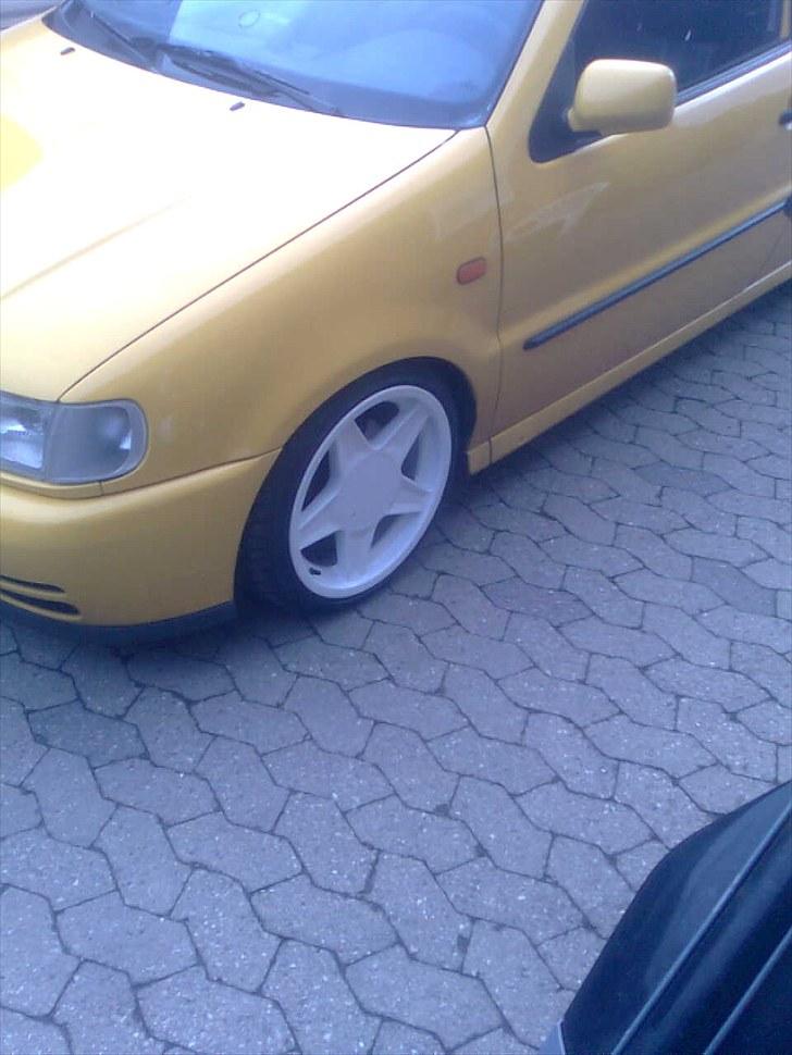 VW polo billede 13