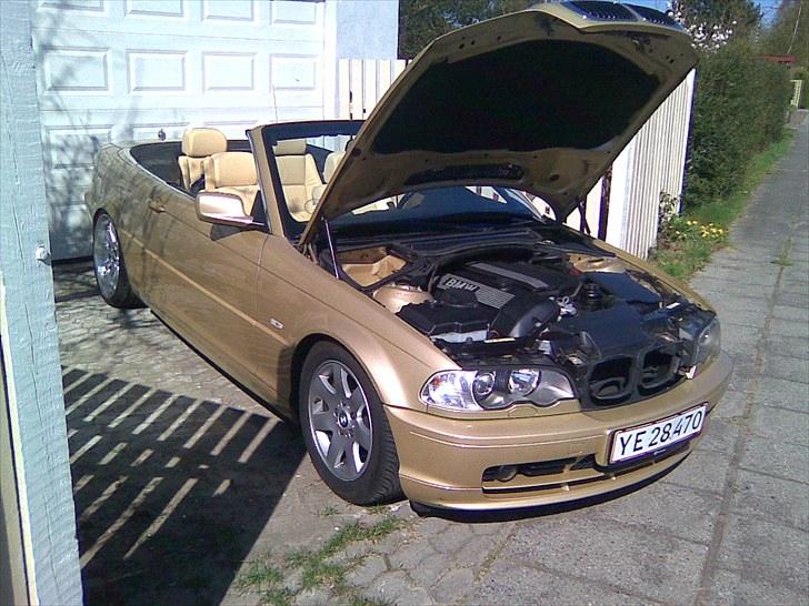 BMW  the Golden Engle billede 3