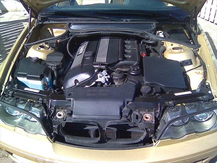 BMW  the Golden Engle billede 7