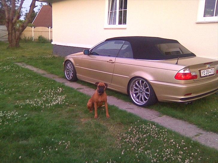 BMW  the Golden Engle billede 9