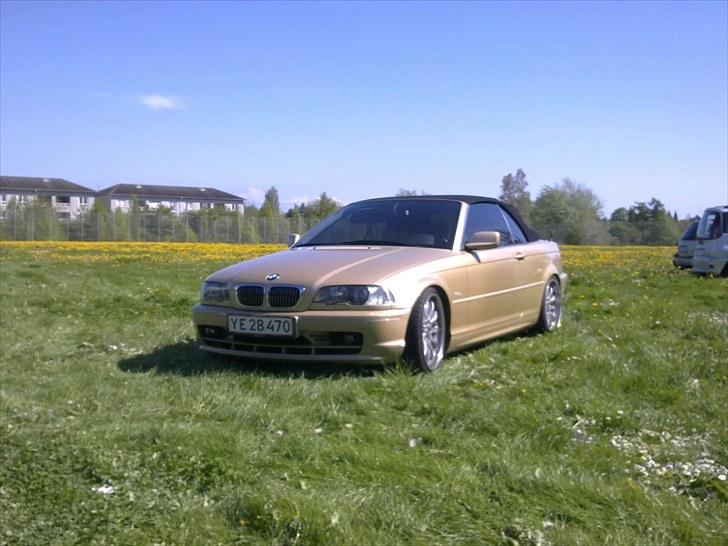 BMW  the Golden Engle billede 11