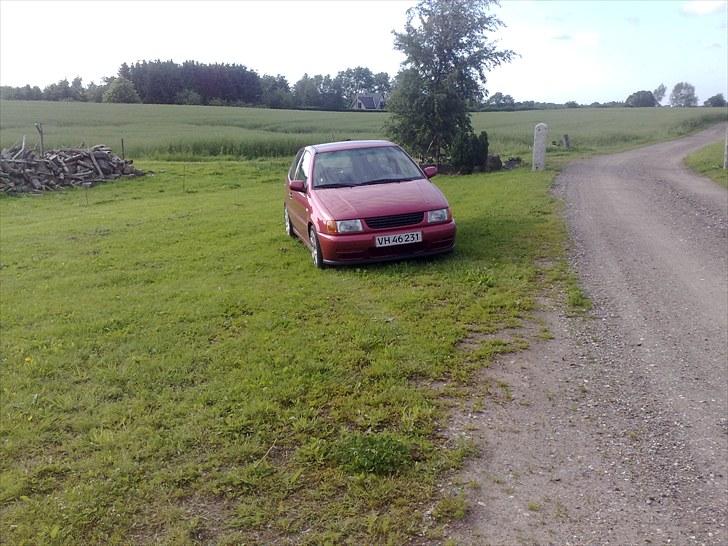 VW Polo (Solgt) billede 8