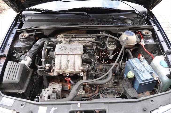 VW Golf 3 GT Special - The heart of all beasts lies under the hood.  billede 18