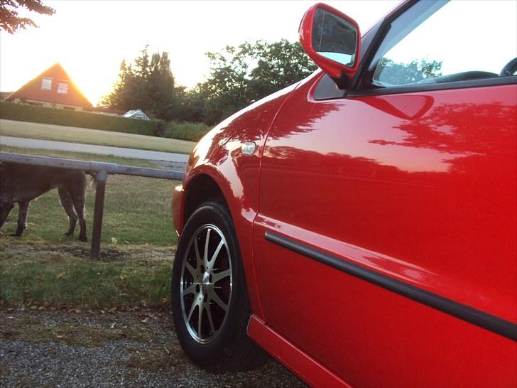 VW Polo 6N - ja, sådan ser den ud... indtil videre :P billede 1