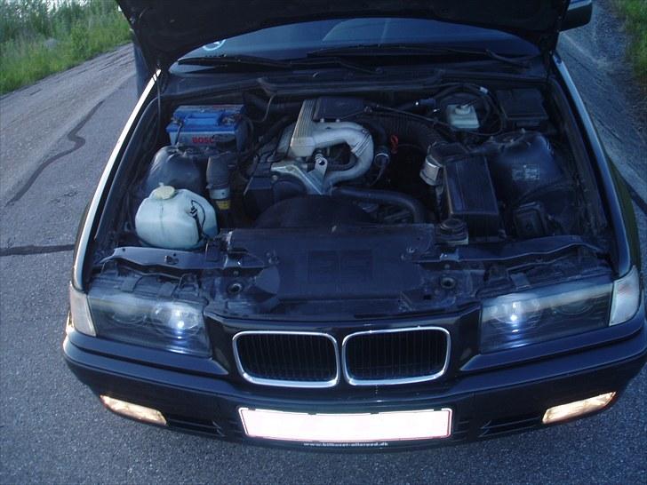 BMW 318i Tilsalg billede 5