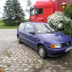 VW polo  §olgt