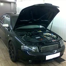 Audi A4 (B6)-Stjålet