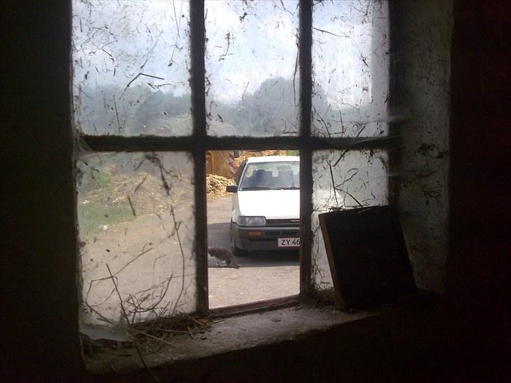 Toyota Corolla E80 Turbo solgt billede 11