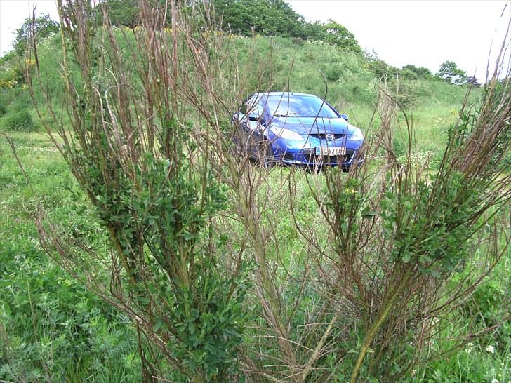 Mazda 2 1,3 Advance  billede 4