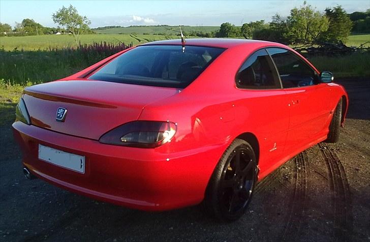 Peugeot 406 3.0 V6 Coupé - sommer polering juni 2010 billede 15