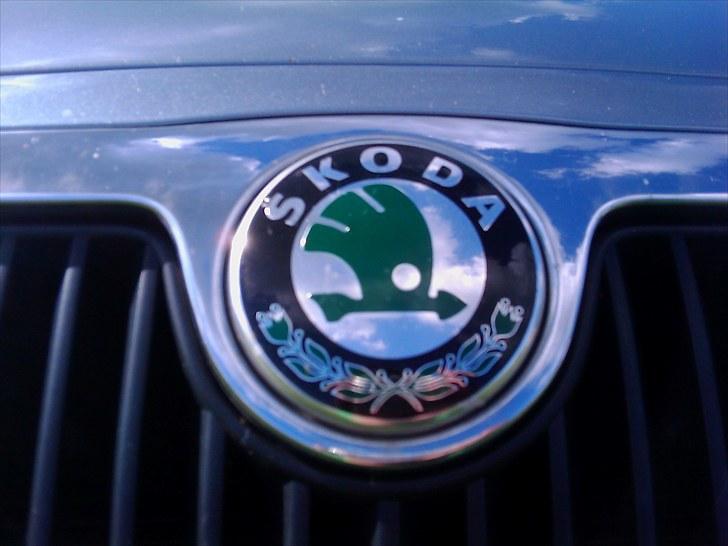 Skoda Fabia Combi ambiente billede 6