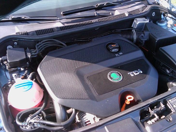 Skoda Fabia Combi ambiente billede 11