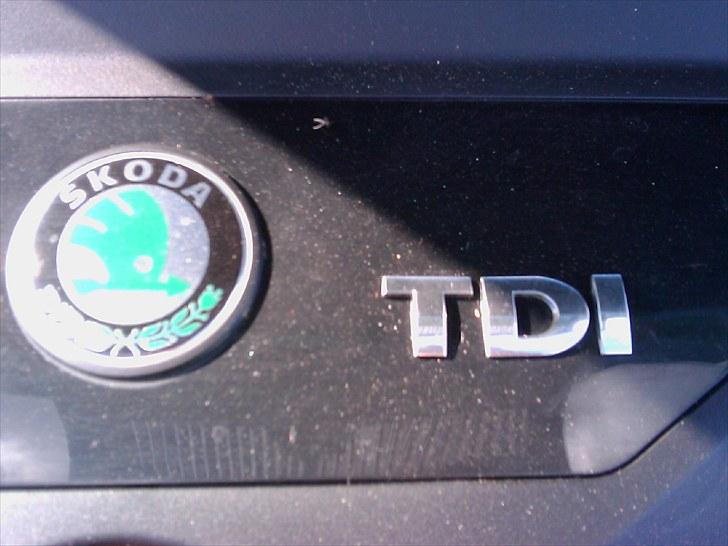 Skoda Fabia Combi ambiente billede 12