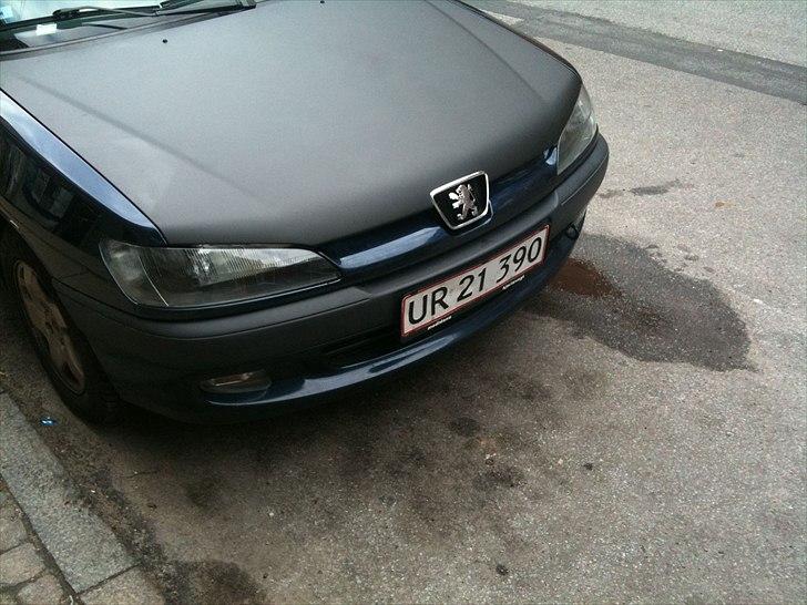 Peugeot 306 Eden Park billede 1