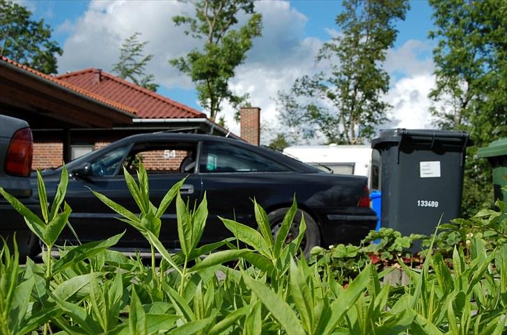 Opel Calibra   SOLGT  - lidt vildt plante liv. eller hvad det nu var jeg lige kunne finde ;-)  billede 4