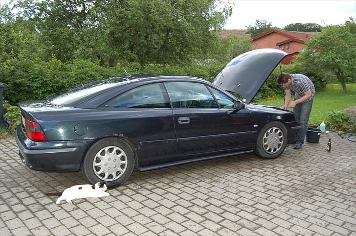 Opel Calibra   SOLGT  - og der pudses i motorrummet så den skal nok blive fin igen  billede 9