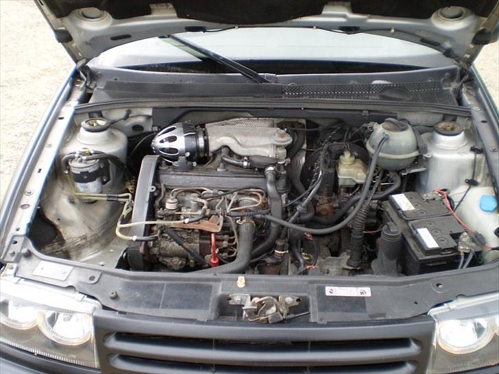 VW "Lisa" Vento billede 7