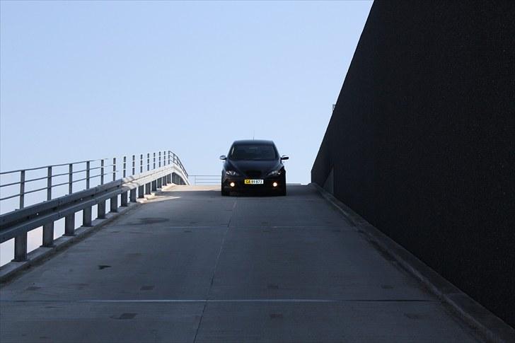 Seat Altea billede 19