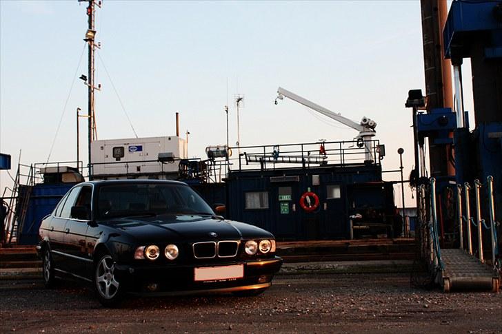 BMW 525 (SOLGT) billede 16