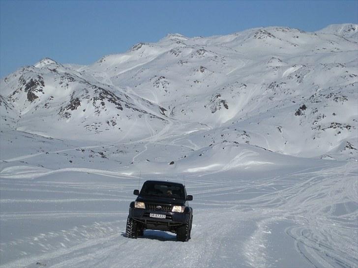 Toyota Landcruiser 90   (Solgt) - Billede fra foråret ( tidligere ejer ) billede 14