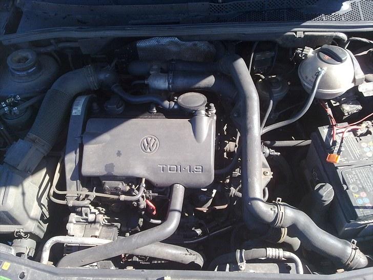 VW Golf GT TDI billede 8